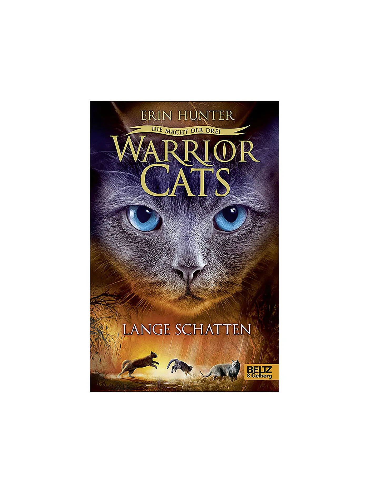 BELTZ & GELBERG VERLAG | Buch - Warrior Cats - Die Macht der drei - Lange Schatten | 